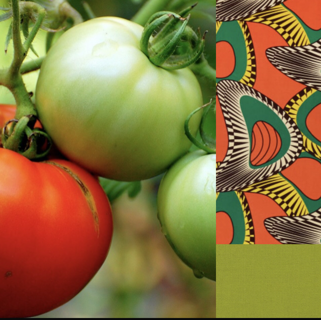 One Community Grocery Co-op